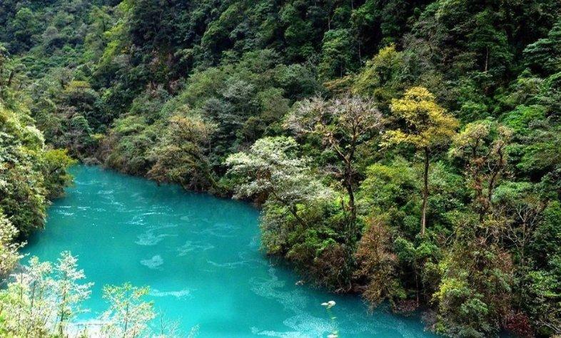 小企鹅逃生